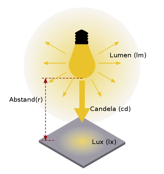 Die richtige LichtstärkeLichtintensität für Pflanzen (Lux)