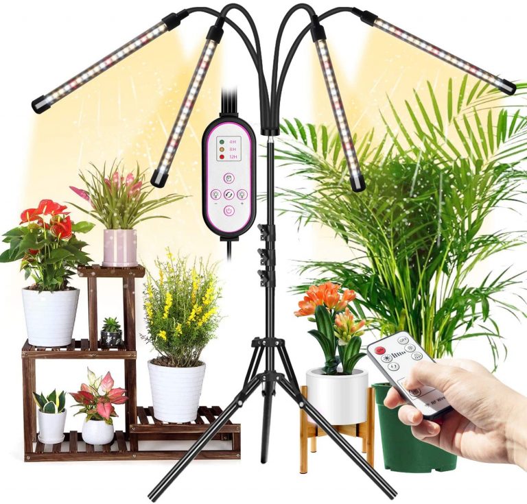 Welche Lichtfarbe Fur Pflanzen