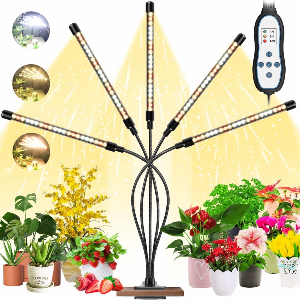 pflanzenlampe-f-r-frauenhaarfarn-adiantum-pflanzen-lichter-de