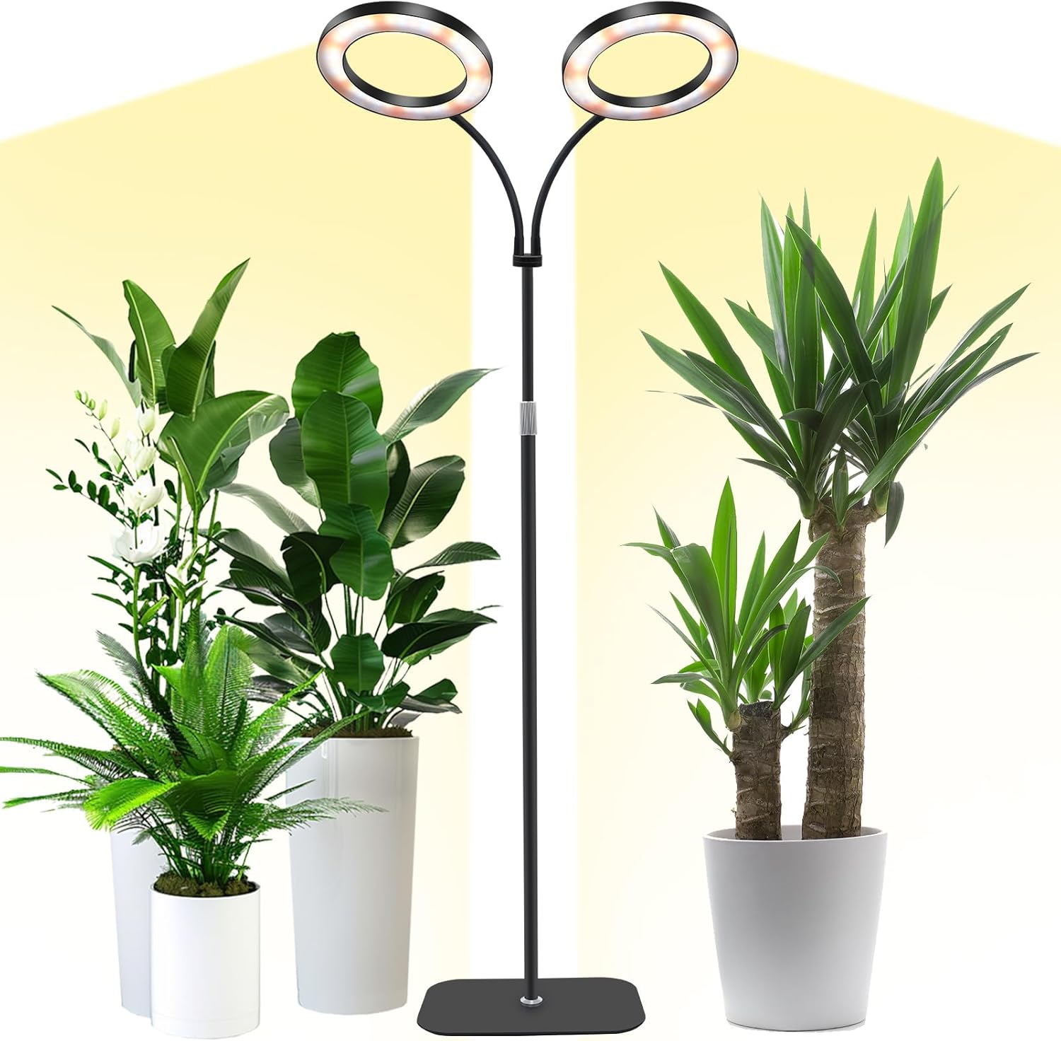 Niello LED Pflanzenlampe mit Ständer für Palmlilie Yucca